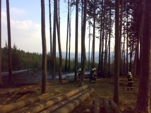 25032010278.jpg